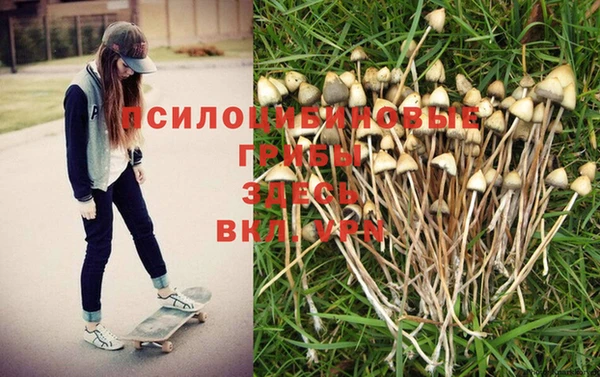 mix Абаза